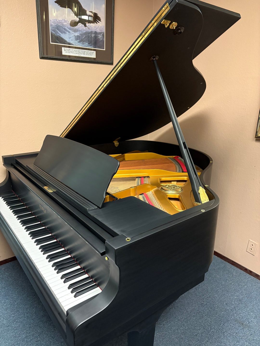 February In-Store Feature: Petrof Grand Piano