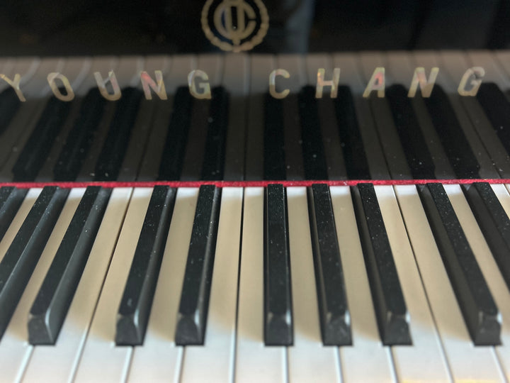 Young Chang Baby Grand Piano-Model G-157-5&