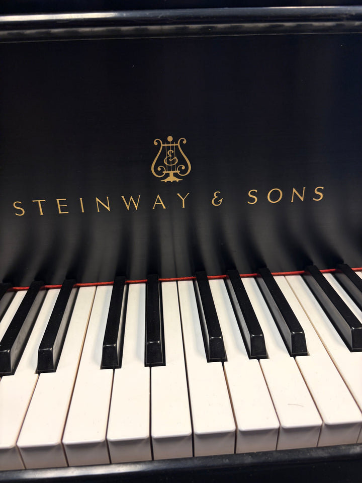 Steinway &amp; Sons Grand Piano | Model M