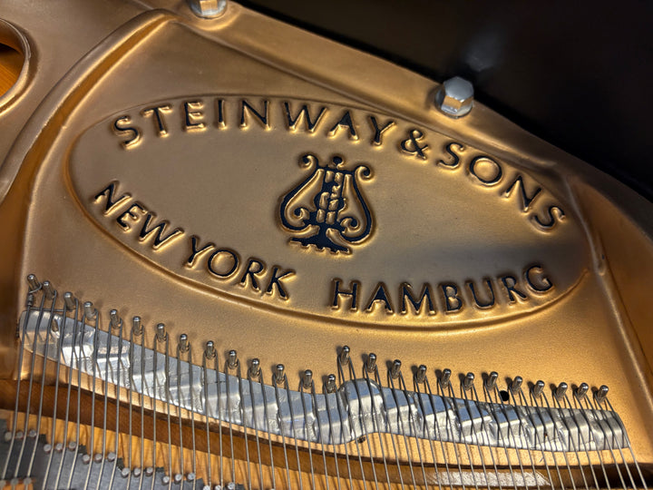 Steinway &amp; Sons Grand Piano | Model M