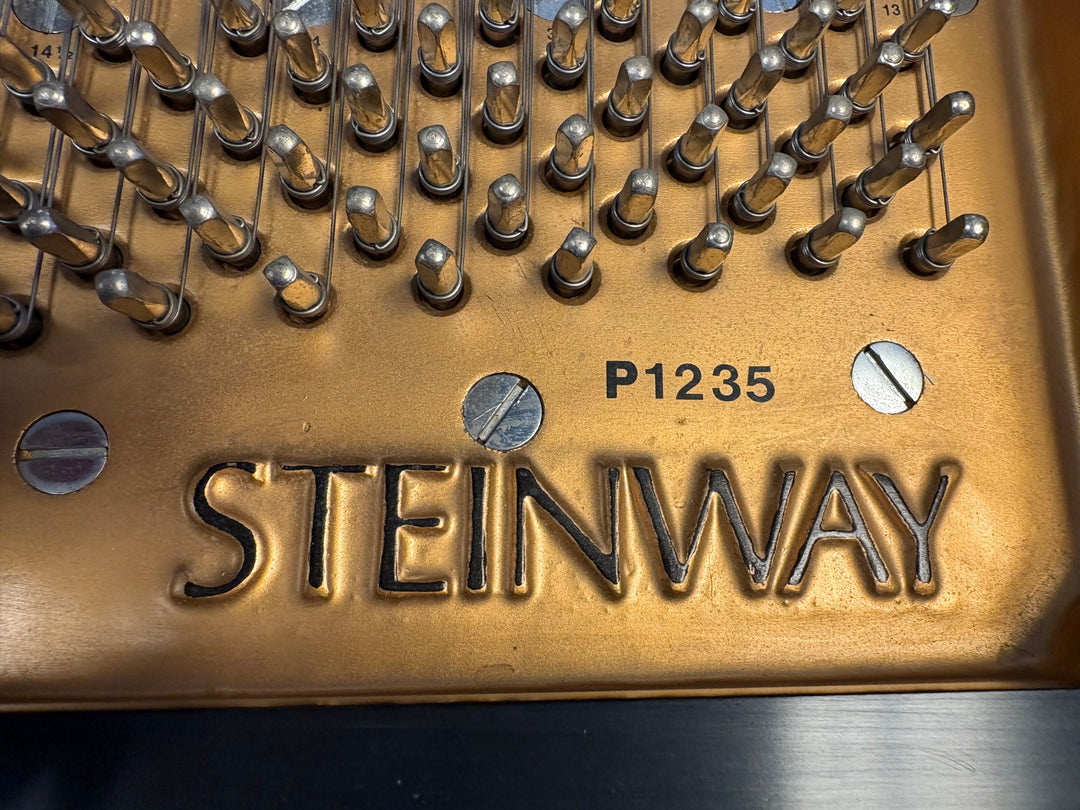 Steinway &amp; Sons Grand Piano | Model M