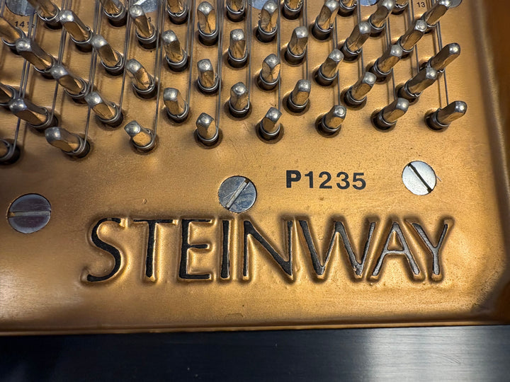 Steinway &amp; Sons Grand Piano | Model M