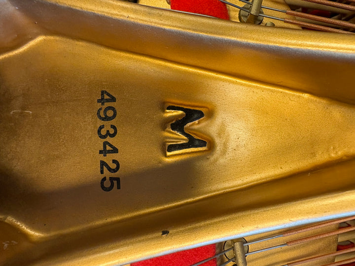 Steinway &amp; Sons Grand Piano | Model M