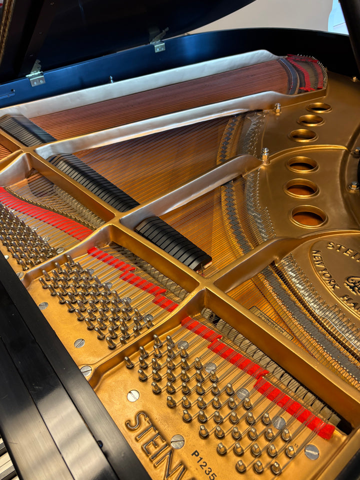 Steinway &amp; Sons Grand Piano | Model M