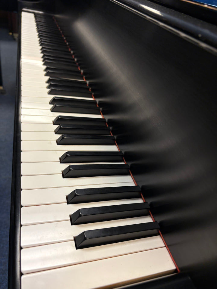 Steinway &amp; Sons Grand Piano | Model M