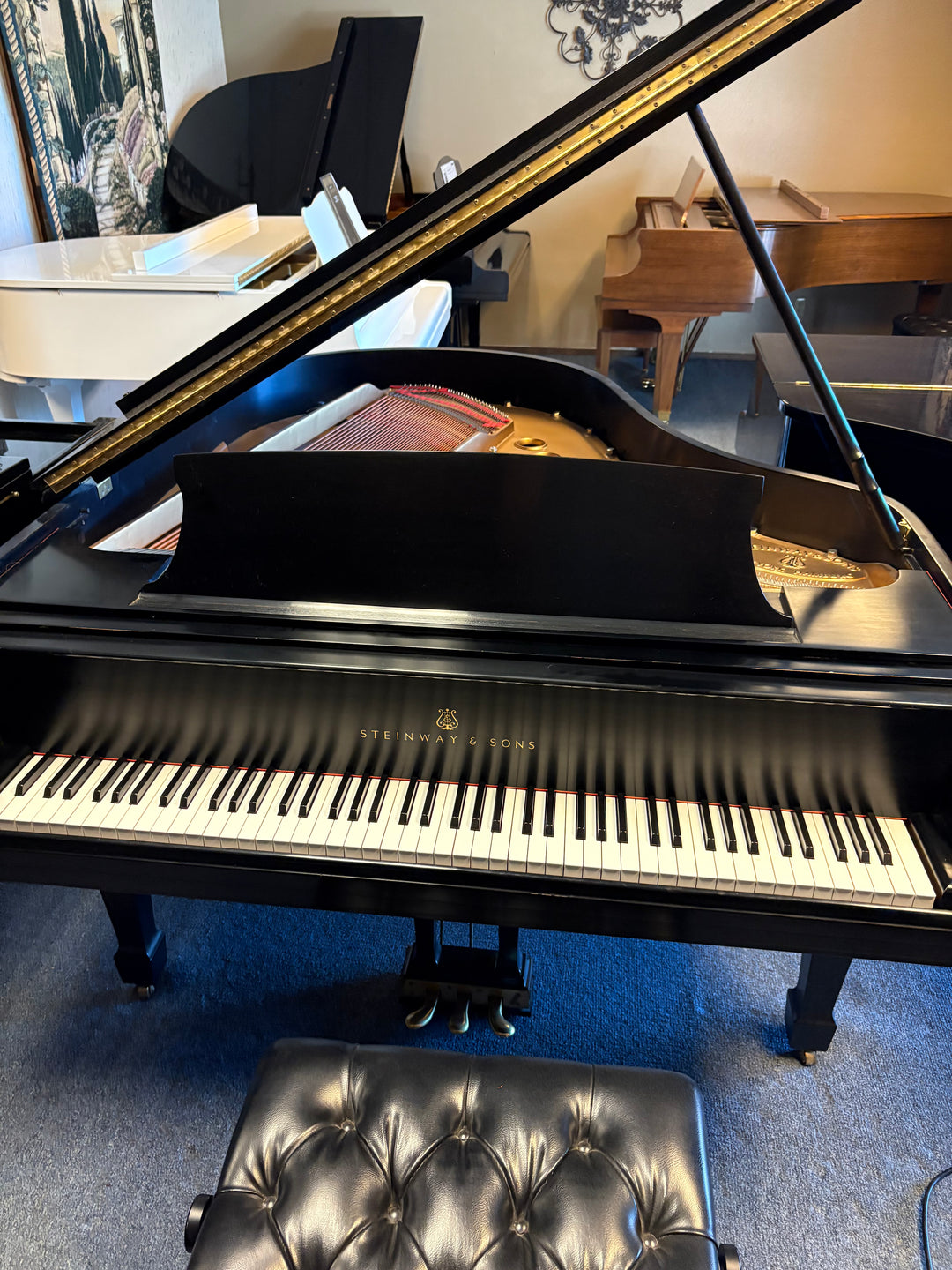 Steinway &amp; Sons Grand Piano | Model M