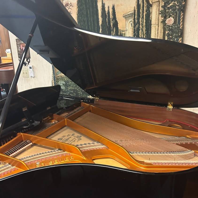 Interior of Seiler 186 Maestro grand piano showing strings and plate, German handcrafted piano
