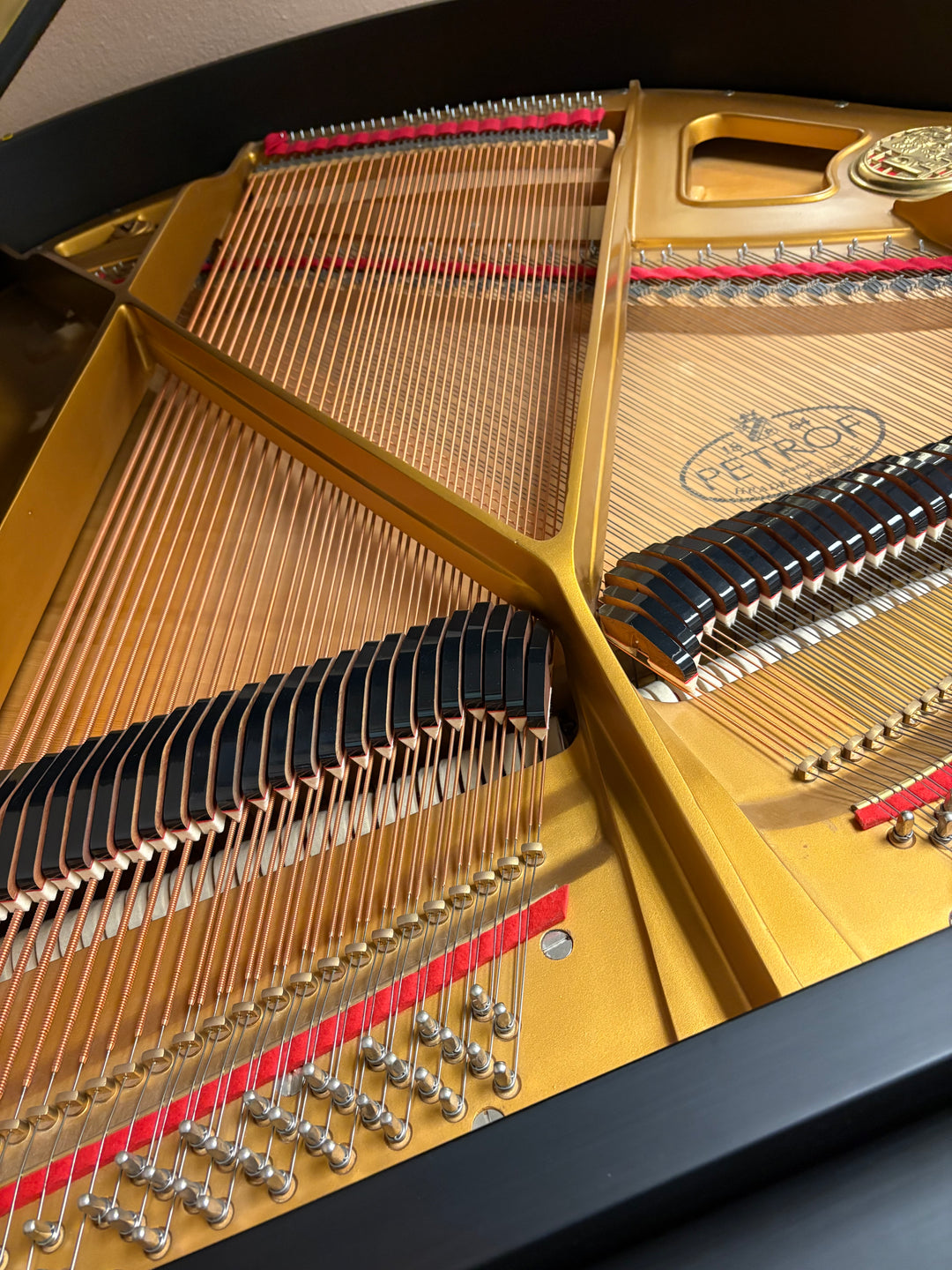 Petrof Model V grand piano interior showing strings and soundboard