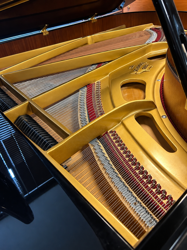Schimmal C213 Concert Series Grand Piano | 6&