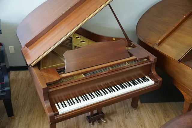 SCHUMANN 6&