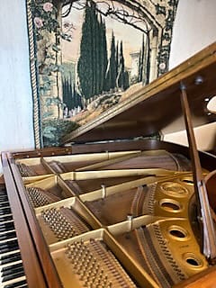 Knabe Baby Grand Piano-Model WG150-Restored Special Pricing-5 Feet