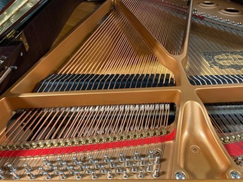 Yamaha GC1 Baby Grand Piano | with Disklavier Player System