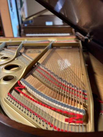 Yamaha Grand Piano-Model C3-6&