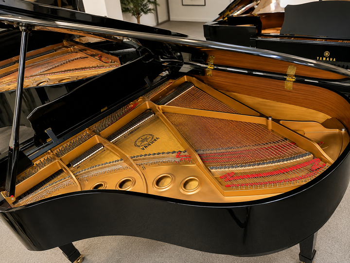 Yamaha Baby Grand Piano - Model C1 in Polished Ebony