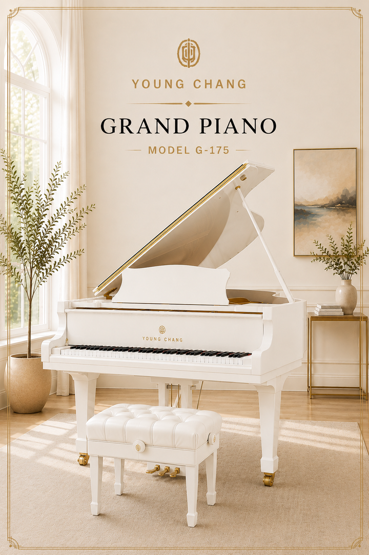 Young Chang Parlor Grand Piano - Model G175 | White Polish