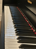 Baldwin B252 Concert Vertical Piano | Ebony