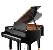 Baldwin Baby Grand Piano | Model B151 | 5&