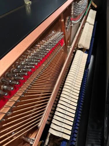 Baldwin B252 Concert Vertical Piano | Ebony