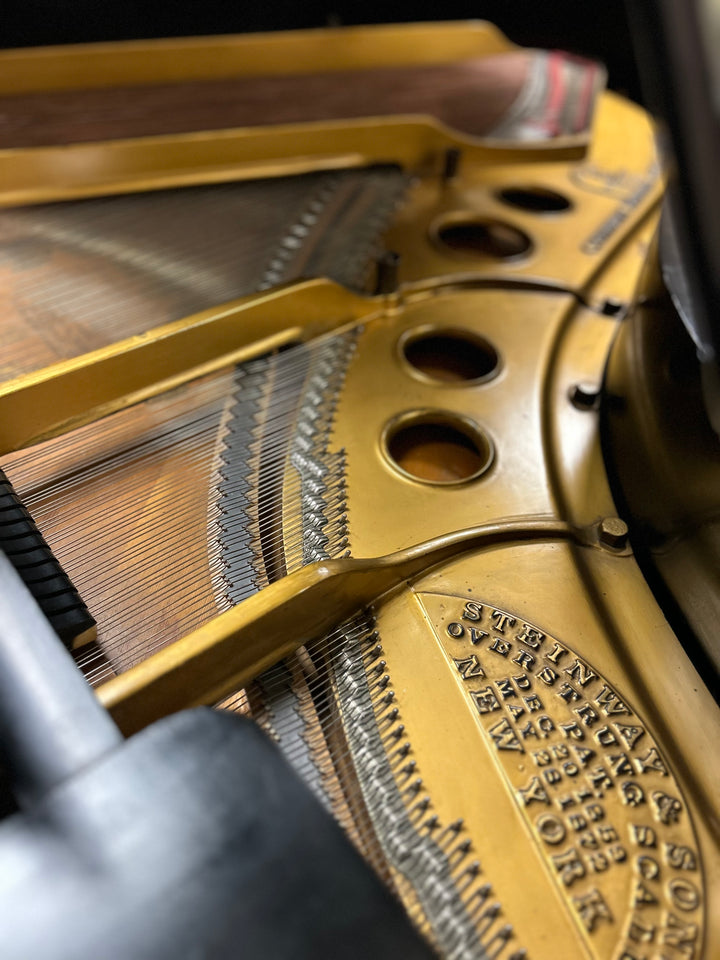 Steinway Baby Grand Piano, Model M-Restored-Wanut Finish