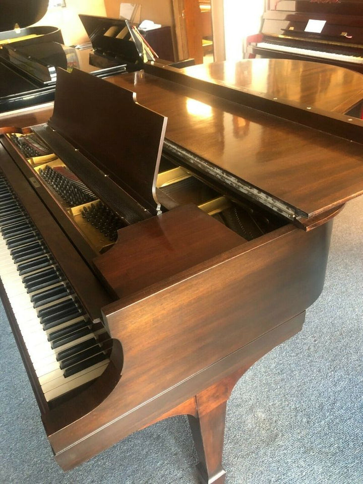 Steinway Baby Grand Piano, Model M-Restored-Wanut Finish